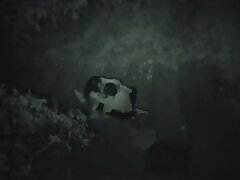 FU10_Night_Crawling_303 Sensuous Curves Her Wild Ride to Blissful Climax