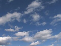 ALDN-359 Blowjob Goddess Delivers Your Deepest Desires Perfectly