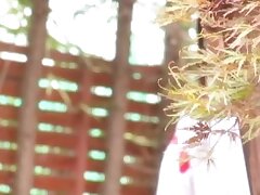 TGGP24_01 Excited Japanese Honey Gets Her Tight Pussy Tightly Fucked By Dildo