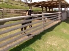 ISD-59 Sex Champ's Epic Stamina Shines in Extreme Blowjob Showdown!